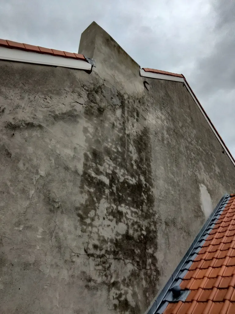 Travaux en hauteur sans échafaudage infiltrations et fissures sur pignon